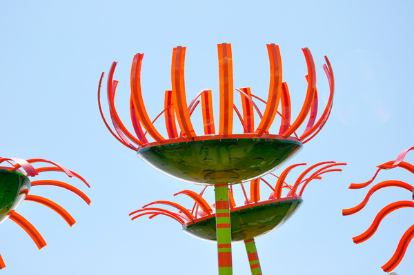 art at the Seattle Center